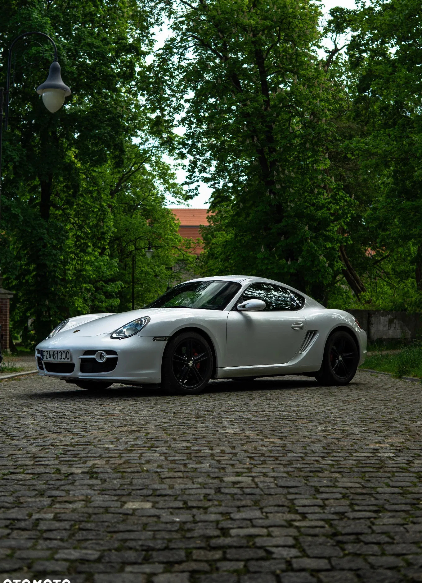 żary Porsche Cayman cena 139900 przebieg: 112000, rok produkcji 2008 z Żary